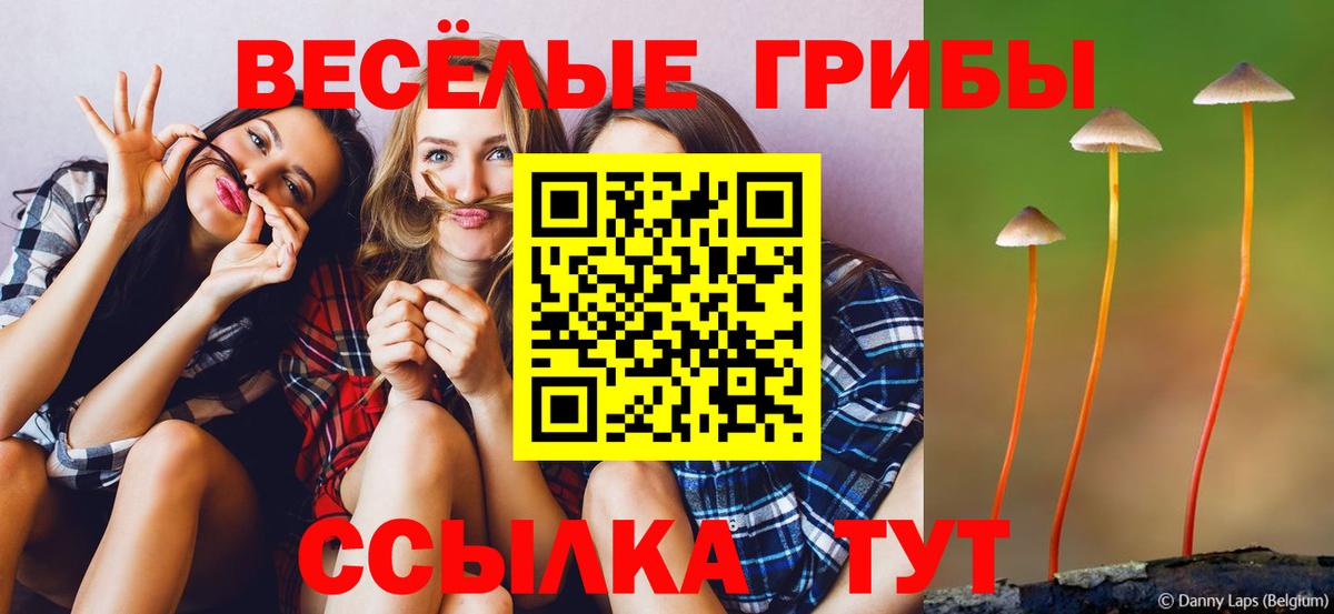 где продают   Галлюциногенные грибы Magic Shrooms  Псилоцибиновые грибы Magic Shrooms  Вход с VPN  Пенза 